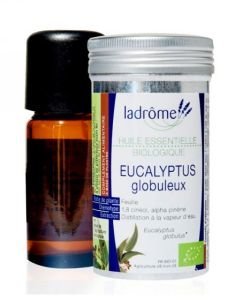 Eucalyptus globuleux (Eucalyptus globulus) BIO, 10 ml